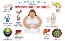 Campaign to Raise Awareness of Obesity